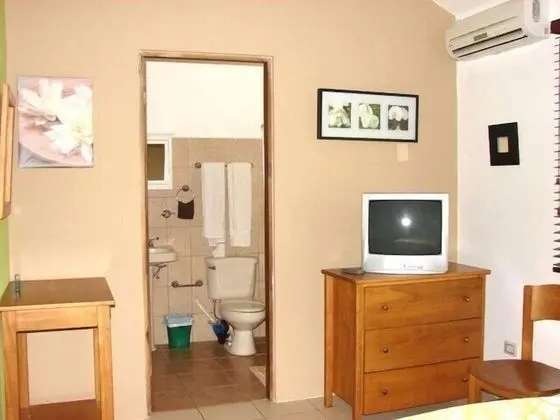Green Forest Studio No 08