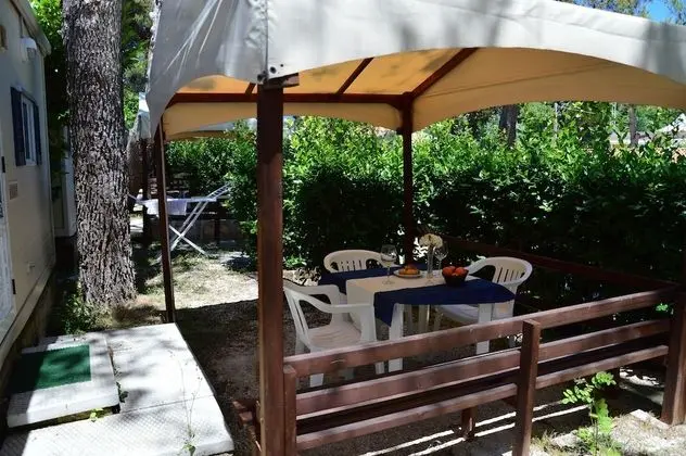 Basic Karavan, 1 Yatak Odası