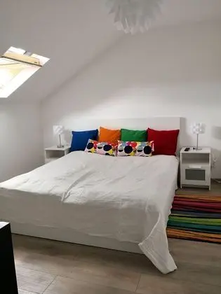 Apart Daire, 1 Yatak Odası (Attic)