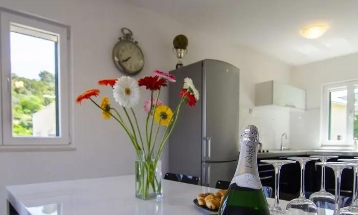 Villa (Three Bedroom Holiday Home with Priva)