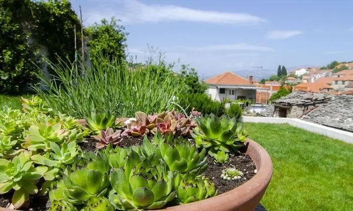 Villa (Three Bedroom Holiday Home with Priva)