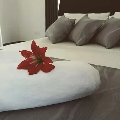 Comfort Oda
