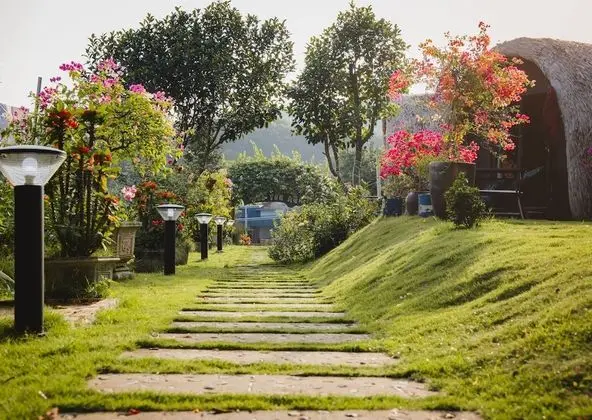 Deluxe Bungalov