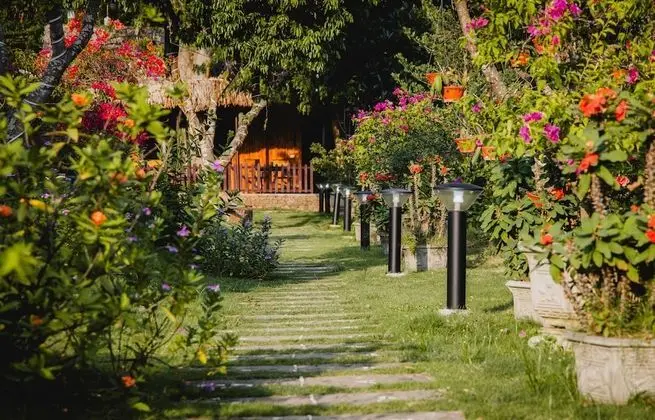 Deluxe Bungalov