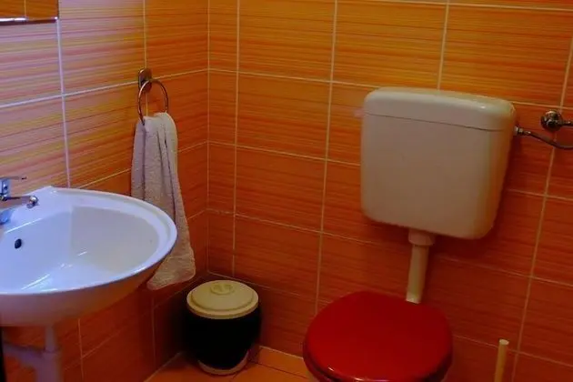 Single Bed in 6-Bed Dormitory Room