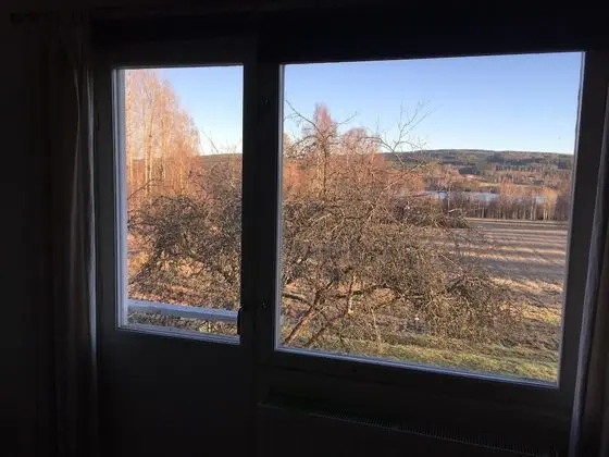 Apartment, Lake View (3)