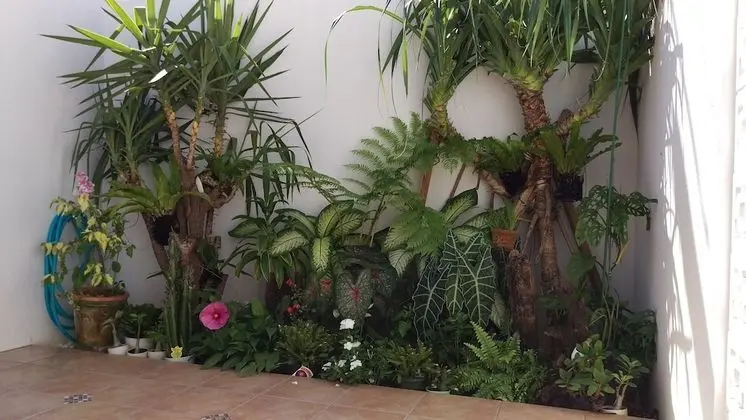 Ev (Private Vacation Home)