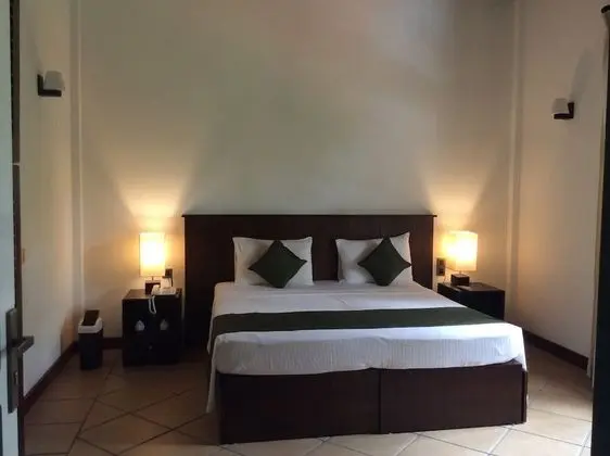 Standard Tek Büyük Yataklı Oda, 1 Çift Kişilik Yatak, Bahçe Manzaralı, Zemin Kat