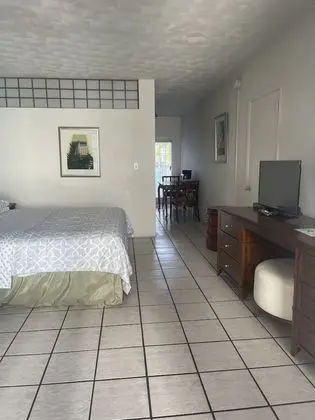 Stüdyo, 1 En Büyük (King) Boy Yatak, Sigara İçilmez, Bahçe Manzaralı