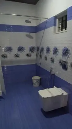 Standard Tek Büyük Yataklı Oda, 1 Çift Kişilik Yatak