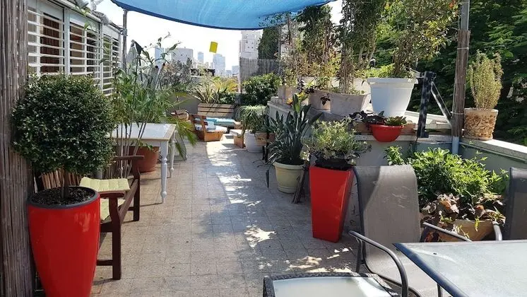 Classic Apart Daire, 1 Yatak Odası, Avlu Manzaralı, Avlu
