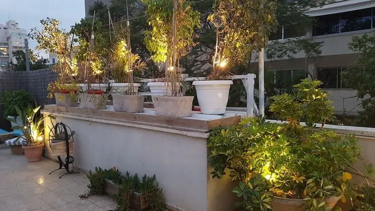 Classic Apart Daire, 1 Yatak Odası, Avlu Manzaralı, Avlu