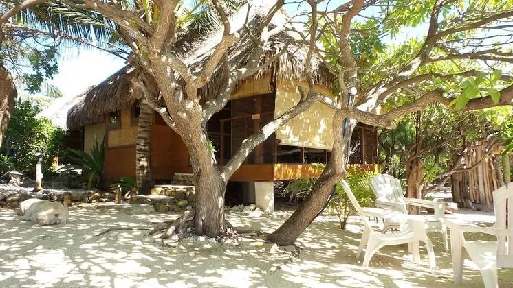 Superior Bungalov, Birden Çok Yatak, Okyanus Manzaralı