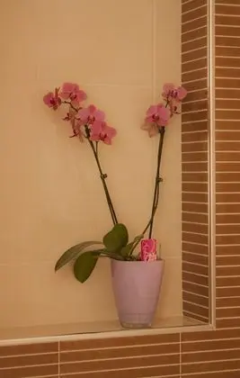 Apart Daire, 1 Yatak Odası, Balkon