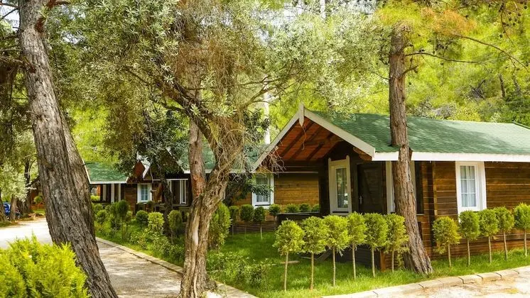 Green Natural Deluxe Bungalow