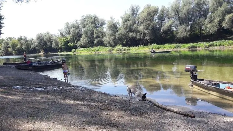 Ev, 4 Yatak Odası, Veranda