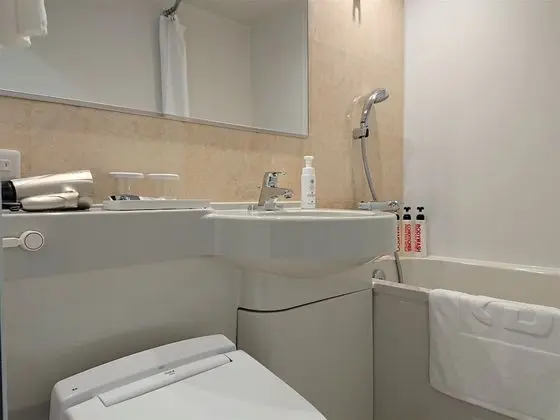 Tek Büyük Yataklı Oda, 1 Çift Kişilik Yatak, Sigara İçilebilir