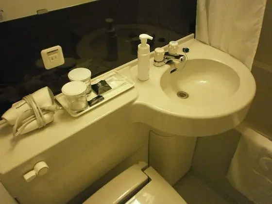 Premium Tek Büyük Yataklı Oda, 1 Büyük (Queen) Boy Yatak, Sigara İçilebilir