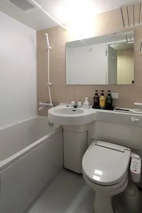 Premium Tek Büyük Yataklı Oda, 1 Büyük (Queen) Boy Yatak, Sigara İçilebilir