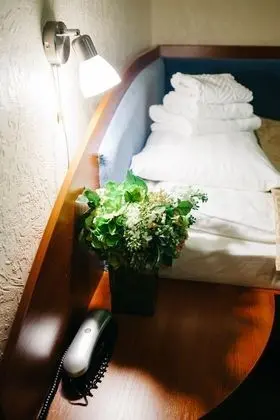 Economy Tek Kişilik Oda, 1 Tek Kişilik Yatak