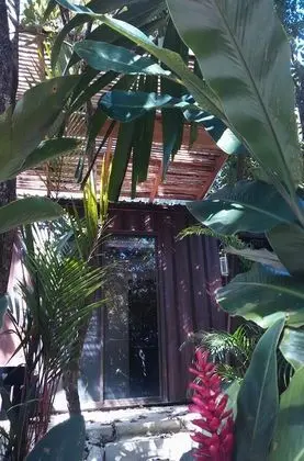 Shipping Container Triple room with Terrace Garden view