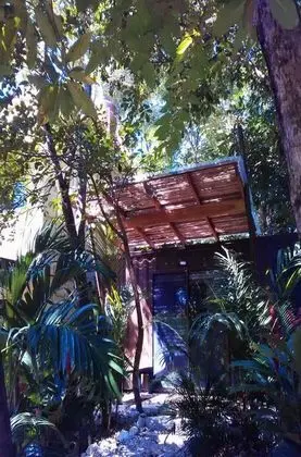 Shipping Container Triple room with Terrace Garden view