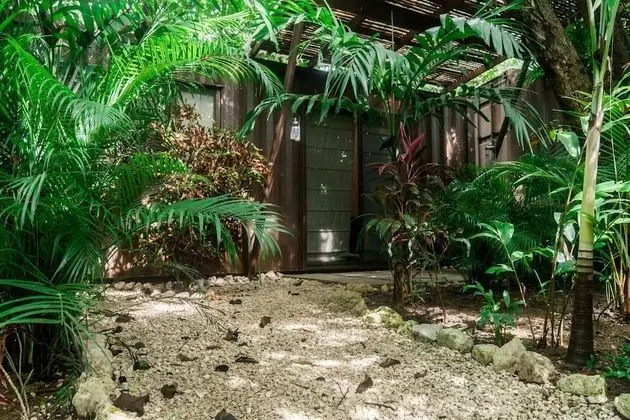 Shipping Container Triple room with Terrace Garden view