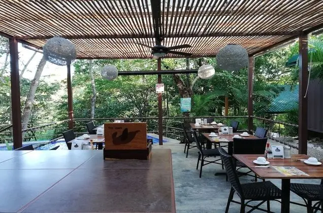 Shipping Container Triple room with Terrace Garden view