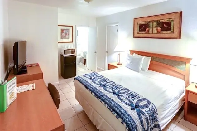 Comfort Stüdyo, Sigara İçilmez, Bahçe Manzaralı