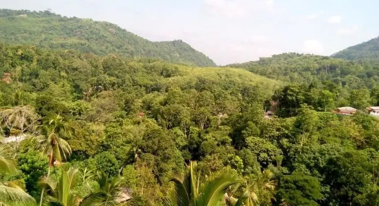 Deluxe Tek Büyük Yataklı Oda, Dağ Manzaralı