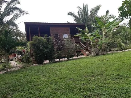 Basic Tek Büyük Yataklı Oda, Bahçe Manzaralı, Havuz Kenarı