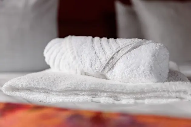 Deluxe Tek Büyük Yataklı Oda, Bahçe Manzaralı