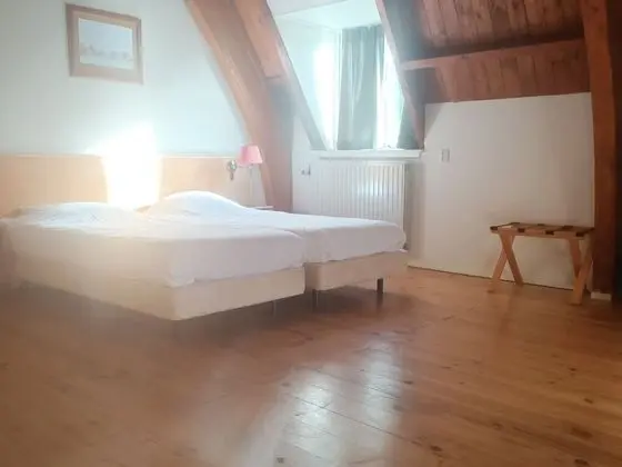 Deluxe Tek Büyük Yataklı Oda, Bahçe Manzaralı