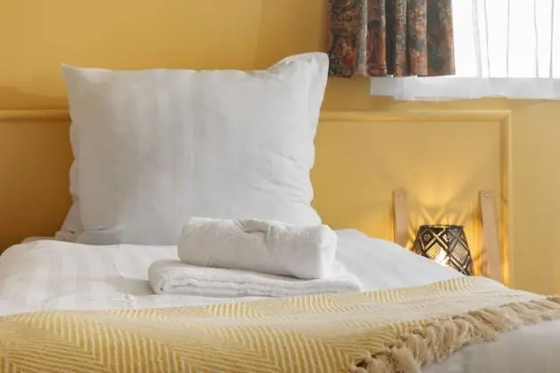 Standard Tek Büyük Yataklı Oda, Bahçe Manzaralı, Ek Bina