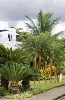 Basic Apart Daire, 2 Yatak Odası, Havuz Manzaralı