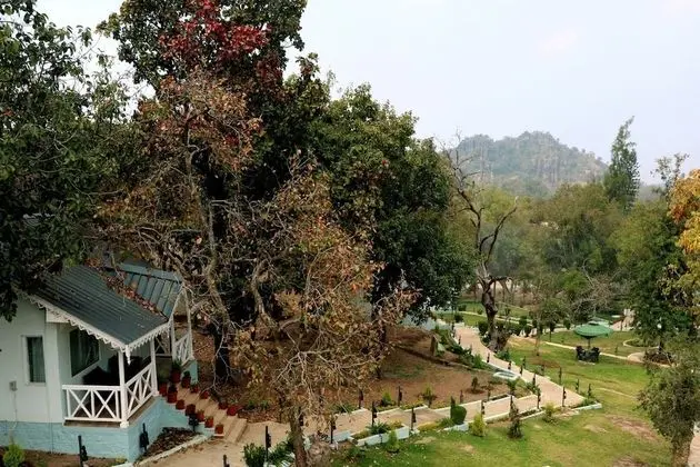 Hill View Cottage