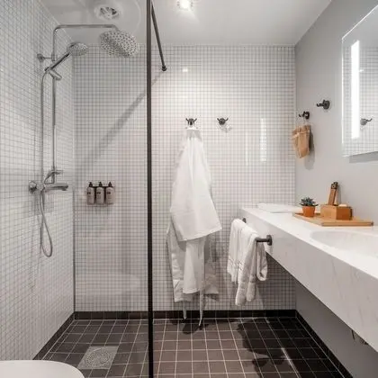 Süit