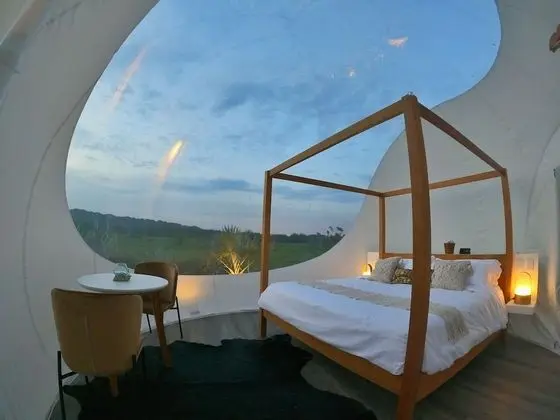 Luxury Çadır