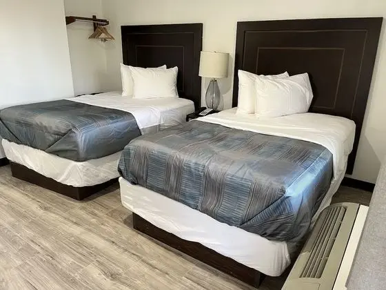 Standard Oda, 2 Çift Kişilik Yatak, Sigara İçilmez