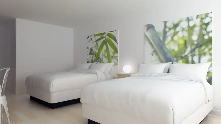 ECO Room, Two Queen Beds