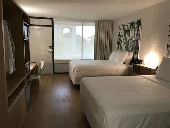 ECO Room, Two Queen Beds