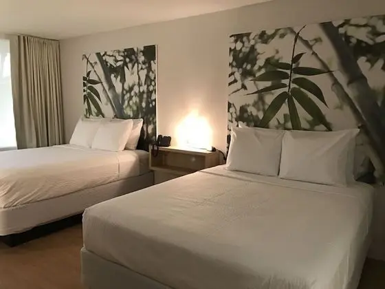 Tek Büyük Yataklı Oda, Avlu Manzaralı