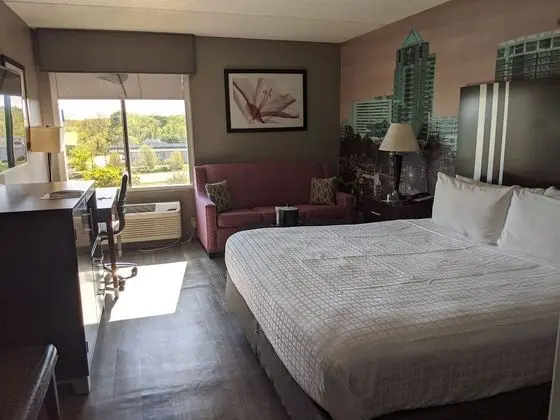 Oda, 1 En Büyük (King) Boy Yatak, Engellilere Uygun, Sigara İçilmez