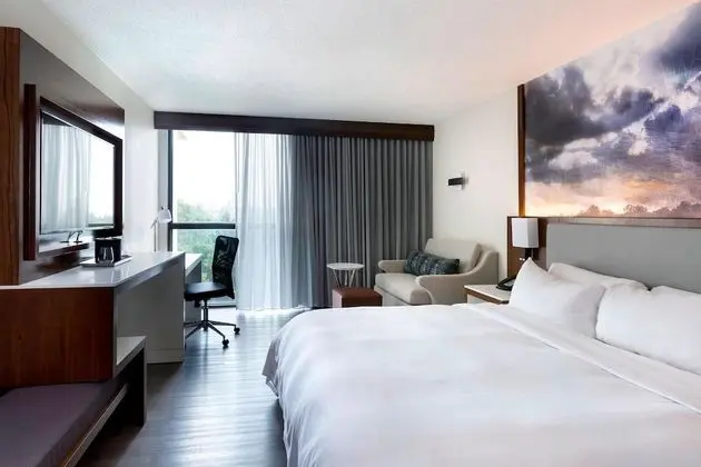 Oda, 1 En Büyük (King) Boy Yatak