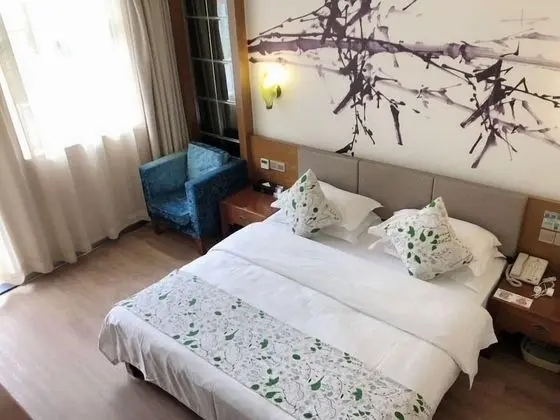 Superior Tek Büyük Yataklı Oda
