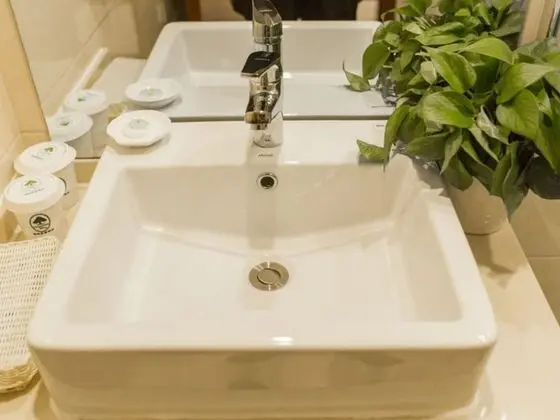 Superior İki Ayrı Yataklı Oda