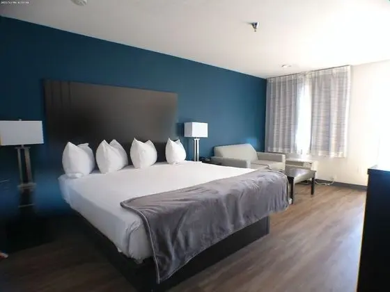 Deluxe Stüdyo Süit, 1 En Büyük (King) Boy Yatak