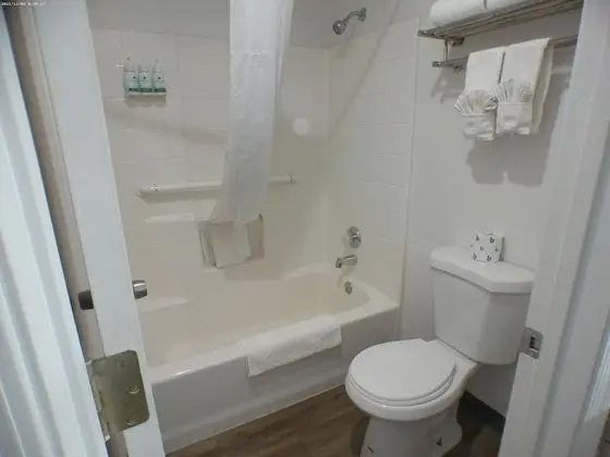 Deluxe Stüdyo Süit, 1 En Büyük (King) Boy Yatak