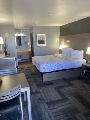 Oda, 1 En Büyük (King) Boy Yatak (Pet Friendly)