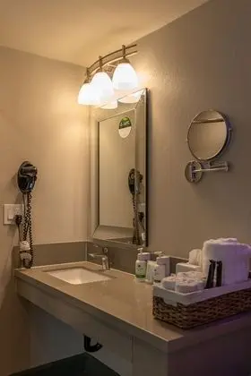 Luxury Oda, 1 En Büyük (King) Boy Yatak, Sigara İçilmez, Jakuzi
